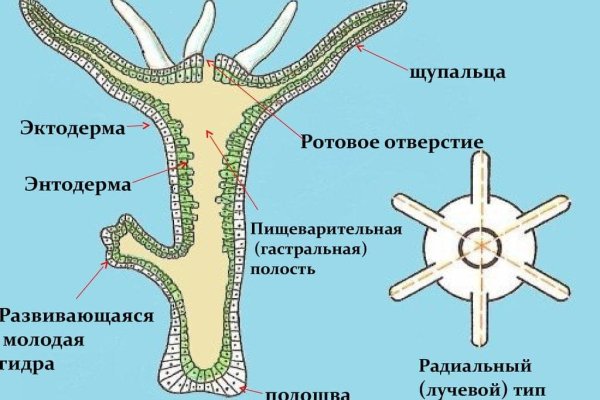 Ссылка кракен сайт зеркало