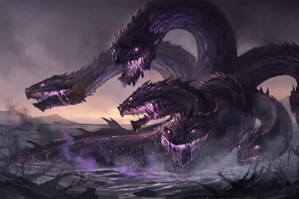 Kraken 17 at net
