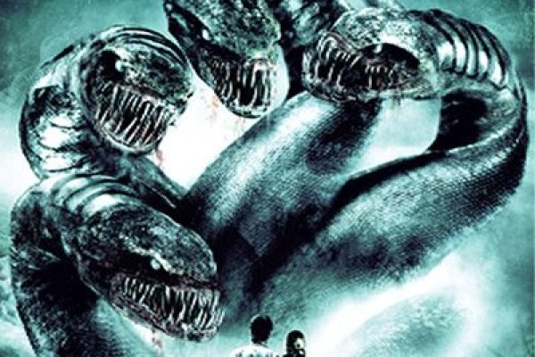 Kraken 17 at net