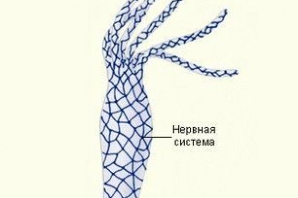 Кракен тор ссылка сегодня