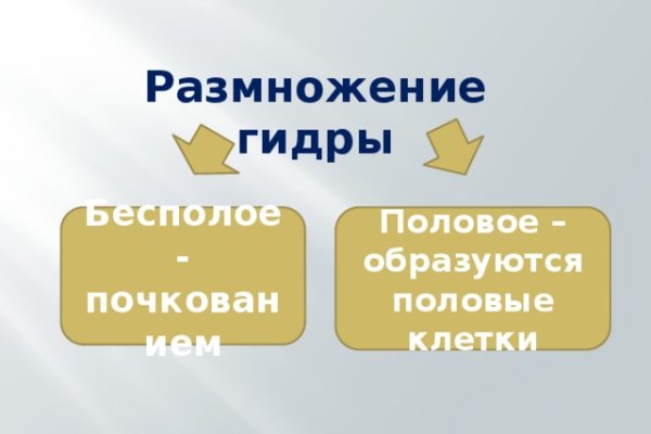 Kra33.cc